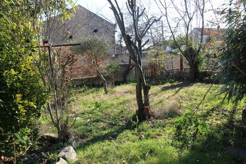 photo no. 9