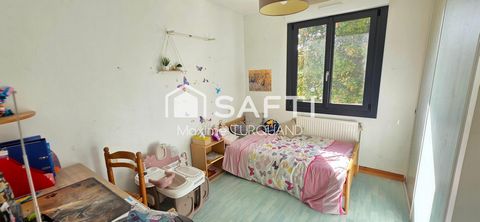 photo no. 7