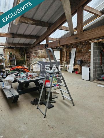 photo no. 12