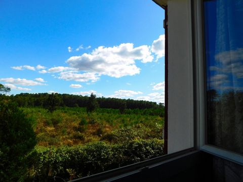 photo no. 2