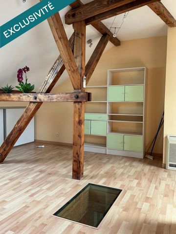 photo no. 12