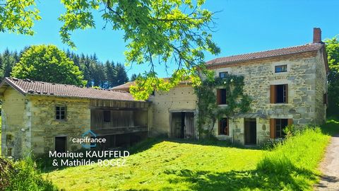 Maison à rénover à vendre 5 pièces avec terrain 3,1 hectare dans le Puy de Dome, Marat