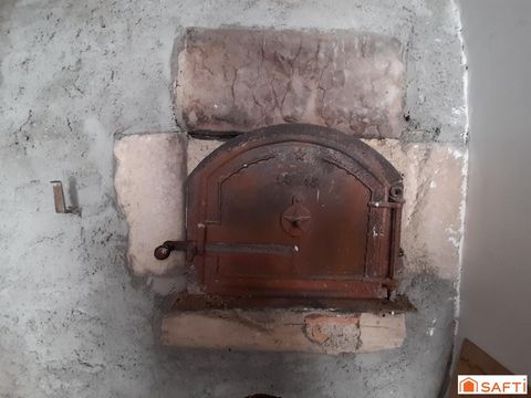 photo no. 12