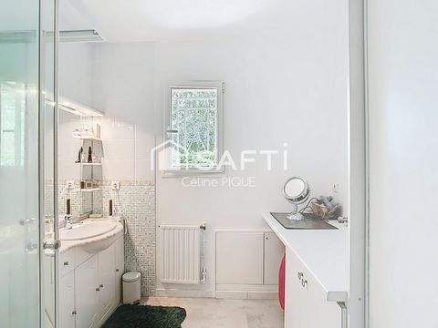 photo no. 11