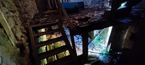 photo no. 14