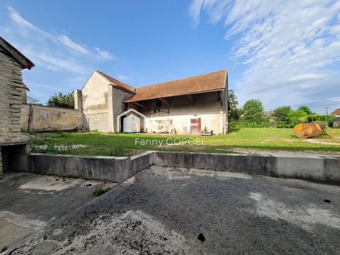 photo no. 12