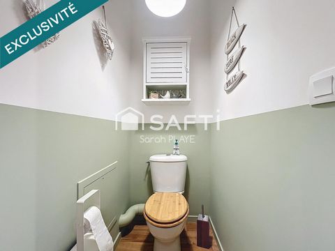 photo no. 11