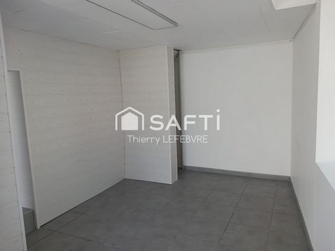 photo no. 8