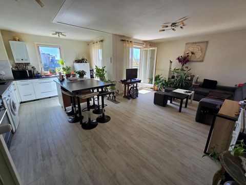 photo no. 2