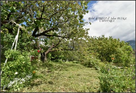 photo no. 1