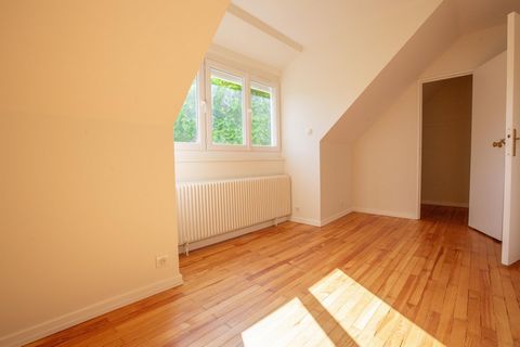 photo no. 16
