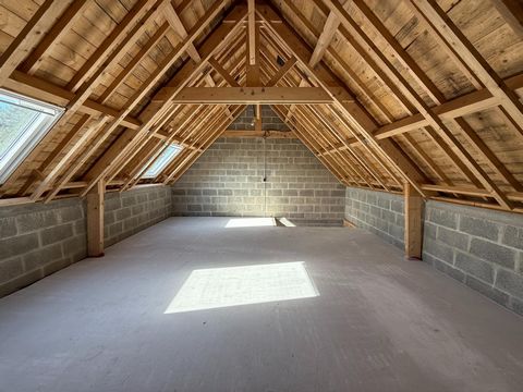 photo no. 10