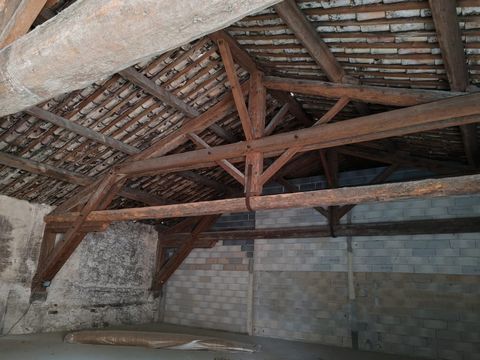 photo no. 10