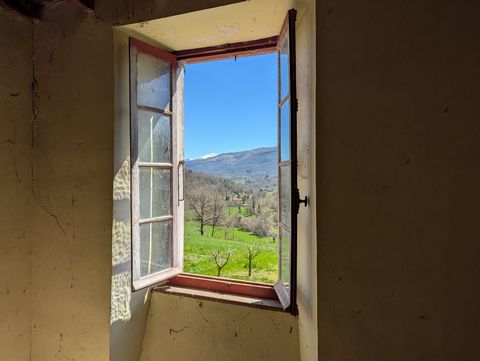 photo no. 5