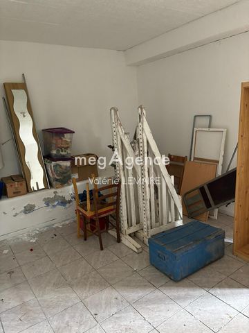 photo no. 11