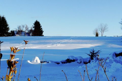 Perfectly positioned beside the thrilling Kappe Adventure Mountain and the famous Winterberg bobsleigh run, this comfortable apartment places you right in the heart of outdoor action. The ski lift carousel and Winterberg's lively town center are both...