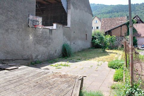 photo no. 2