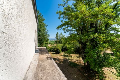 photo no. 11