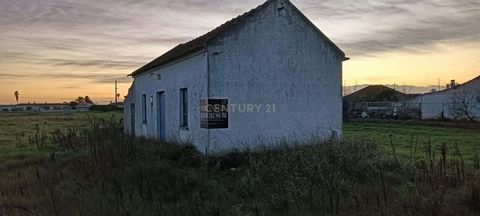 Terreno Rústico com 6840 m2, localizado na vila ribatejana de Marinhais. Terreno com boa exposição solar, localizado numa das principais ruas de Marinhais.