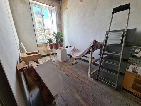 photo no. 6