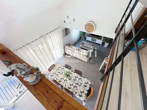 photo no. 11