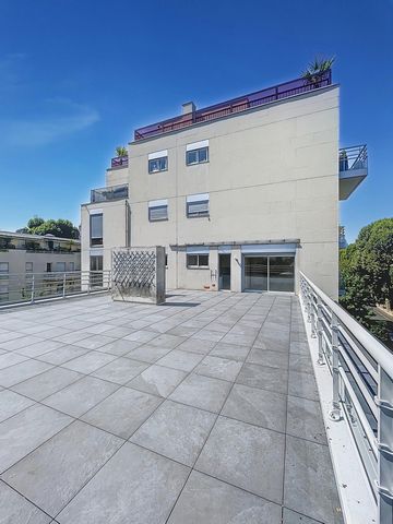 photo no. 2