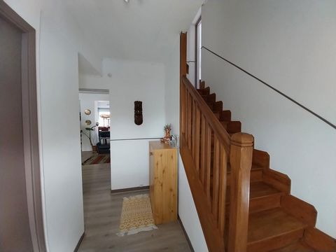 photo no. 11