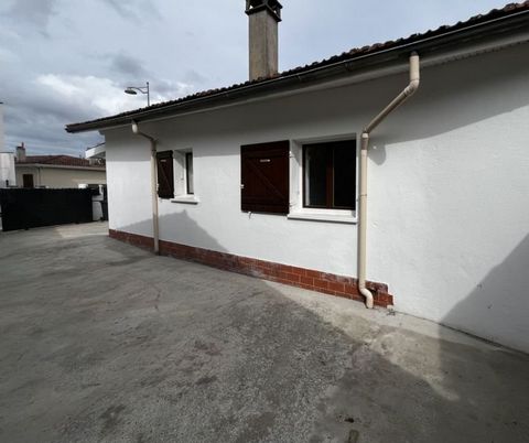 photo no. 9