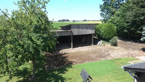 photo no. 2