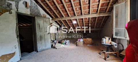 photo no. 12