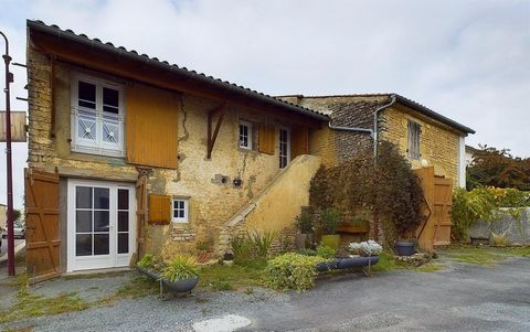 photo no. 9