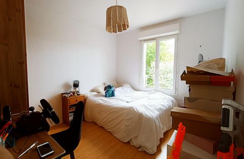 photo no. 12