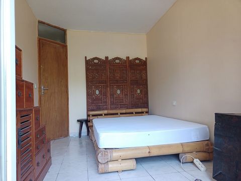 photo no. 7