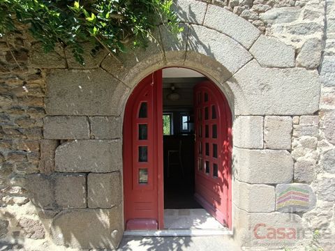 photo no. 11
