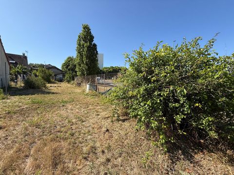 photo no. 10