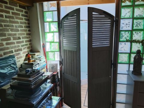 photo no. 12