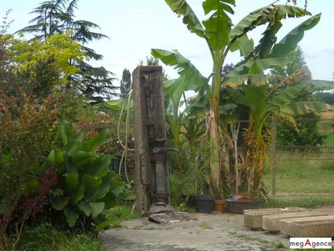 photo no. 7