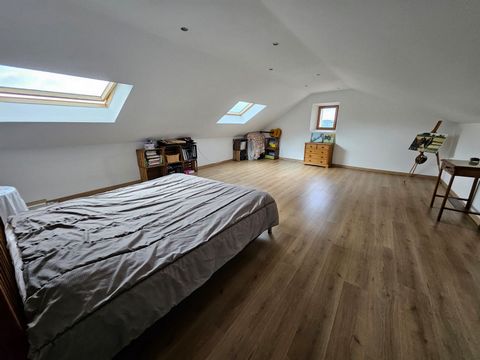 photo no. 11