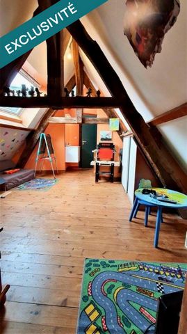 photo no. 13