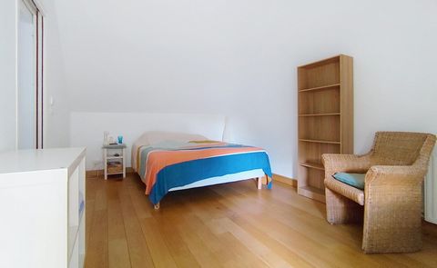 photo no. 7