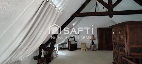 photo no. 16