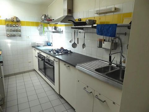 photo no. 18
