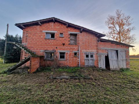 photo no. 3