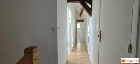 photo no. 12
