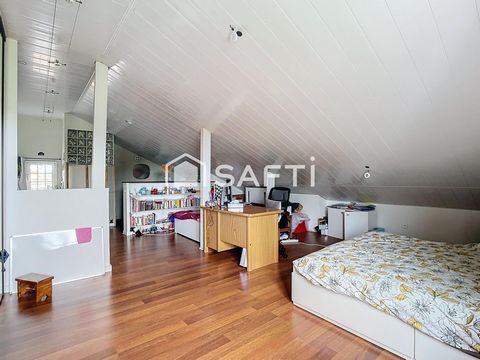 photo no. 8
