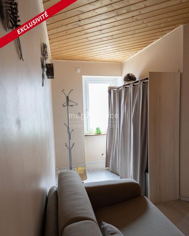 photo no. 13