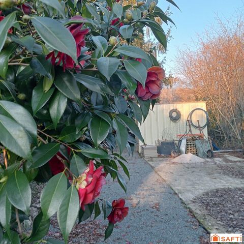 photo no. 12
