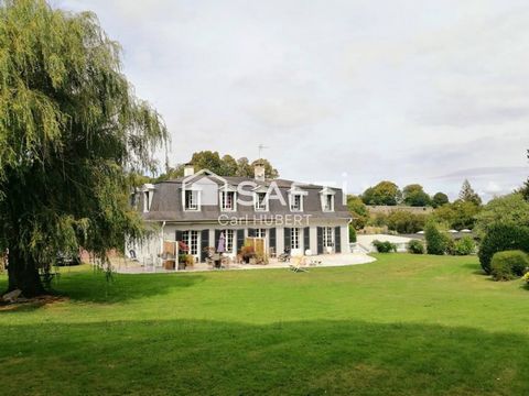 photo no. 15