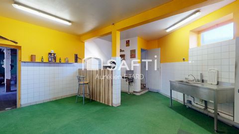 photo no. 7
