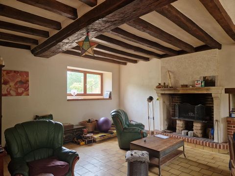 photo no. 5
